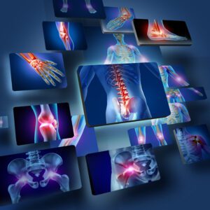 Understanding Human Anatomy Course