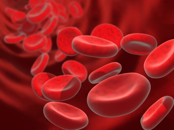 Blood cells Study At Home Distance Learning Courses